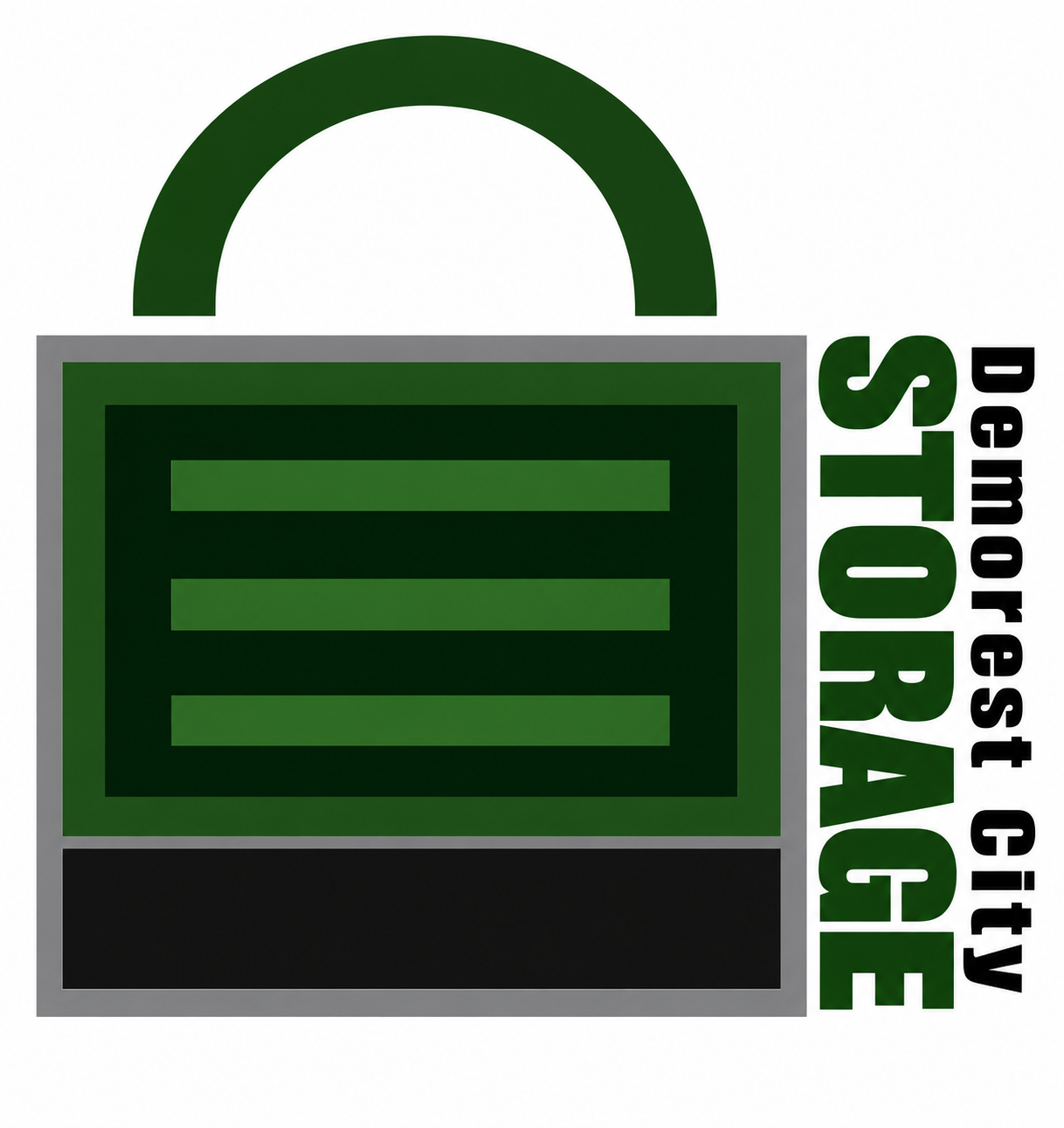 Demorest City Storage logo